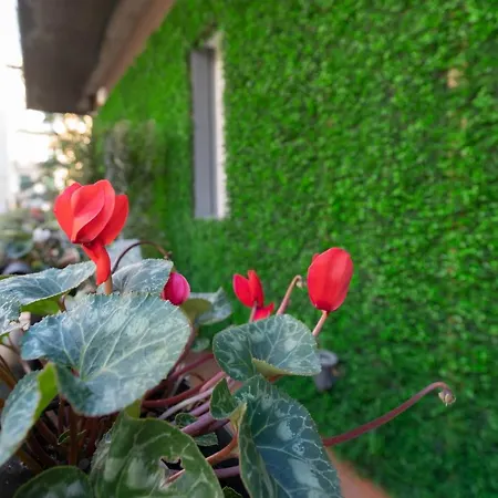 Urban Garden Suites Catania